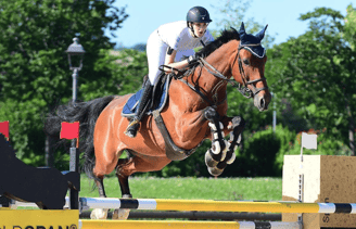 equitazione salto ostacoli