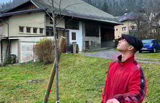 Paysagiste en veste rouge plantant un jeune arbre avec un tuteur en bois