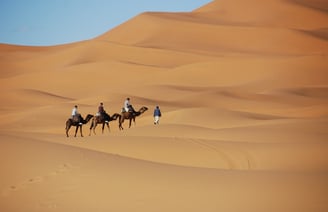 a group of people riding on camels in the desert