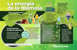 Biomasa - Mass Mundo