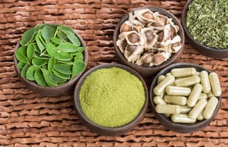 moringa plant benefits