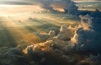 Transformed by Grace