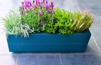 indoor planter for herbs cacti succulents made from quality wood painted in colour green