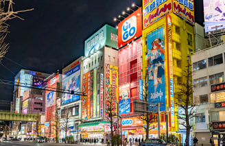 Akihabara for the otaku, anime and manga fans