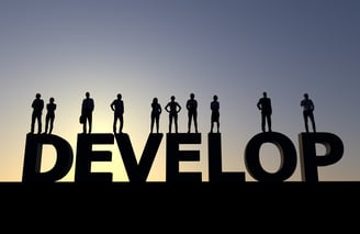 Organizational Development - Develop image