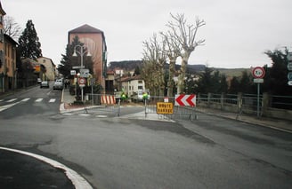 Equipe professionnelle élaguant des arbres dans la ville d'Amplepuis.