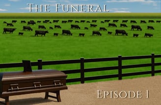 Coffin by fence, cattle in green paddocks under blue sky