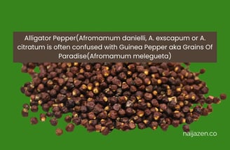 alligator pepper is NOT the same as grains of paradise
