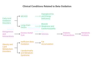 beta oxidation clinical co relations