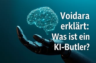 Voidara erklört in 17 Minuten