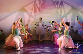 a group of dancers performing in a dance
