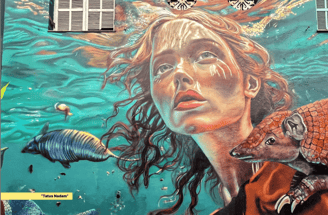 Jennifer Erny mergulhou na natureza do Tatuapé antes da urbanização, mostrando tatus nadando no Rio