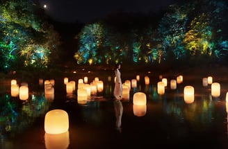 teamLab, 2024, Instalação Digital Interativa