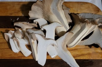 Fresh King Trumpet Mushrooms cultivated by Kansas City Mushroom Company.