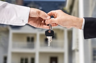 a tree branch with green leaves against a blue sky