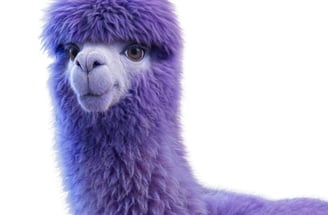 Violet Llama
