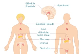 Hormônios