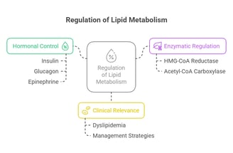 Lipid metabolism Regulation