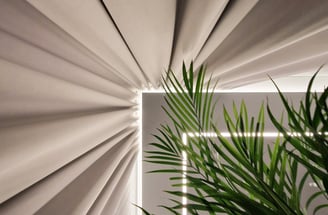 Užuolaidos su augalu