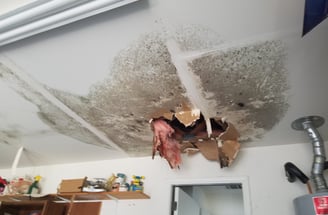 roof leak with mold