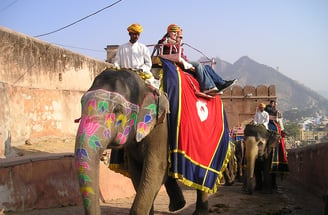 Experiecing Elephant Ride at Amber Fort Jaipur. 