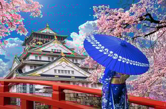 Japan Castle Osaka Kimono Sakura Cherry Blossoms
