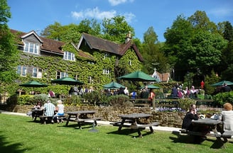 The outside of The High Rocks (rear garden)