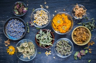dna testing herbal adulteration