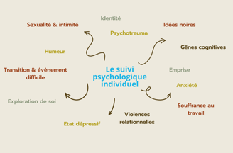 Schéma des thématiques prises en charge en suivi psychologique individuel. 