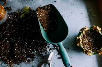 Soil in scoop