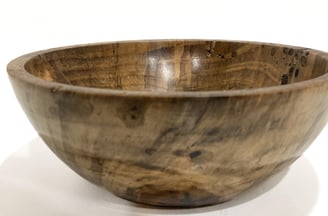 Norfolk Island Pine 260mm x 105mm