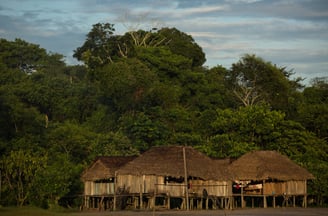 a hut with a thatched roof and a hut with a thatched roof