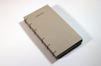 Front cover of Strata publication