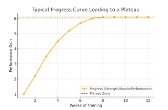 a typical workout program for a typical workout