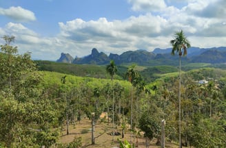 Doï Tapang, Sawi Chumphon