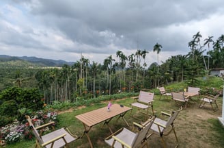 Hen Tae khao cafe, sawi Chumphon