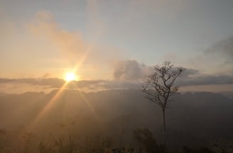 Doï Tapang, Sawi Chumphon