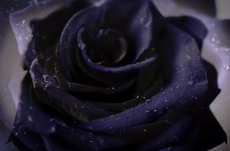 closing ritual offering to black moon lilith