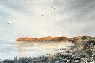 hav, strand och fåglar