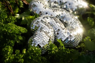 Disco Squigglies - Bruna Souza