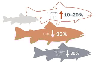 Poor Growth and Mortality