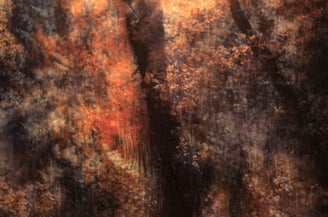 Secrets in Eden ethereal landscape photography by Martin Osner, abstract forest scene inspired by Monet with warm soft colour