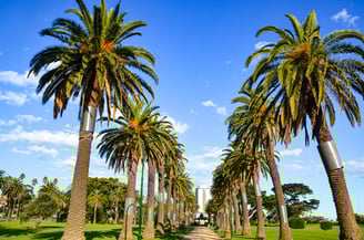 The Catani Gardens in St Kilda, Melbourne
