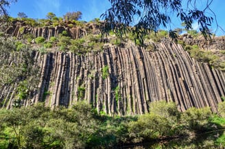 Organ Pipes National Park