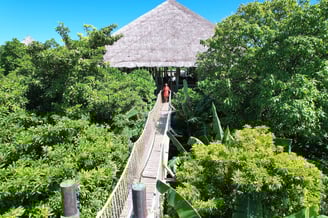 soneva-fushi-maldives-bridge
