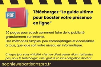 Le guide ultime pour booster votre presence en ligne  ebook gratuit 