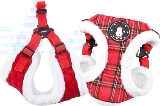 a picture of a red dog harness