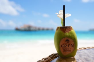 ozen reserve bolifushi coconut