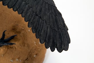 Archaeopteryx 5