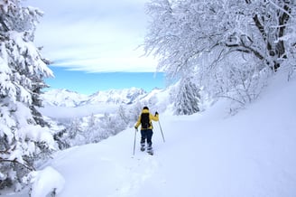 Mountain sport snow snowshoes ski